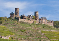 Bild Burg Thurant